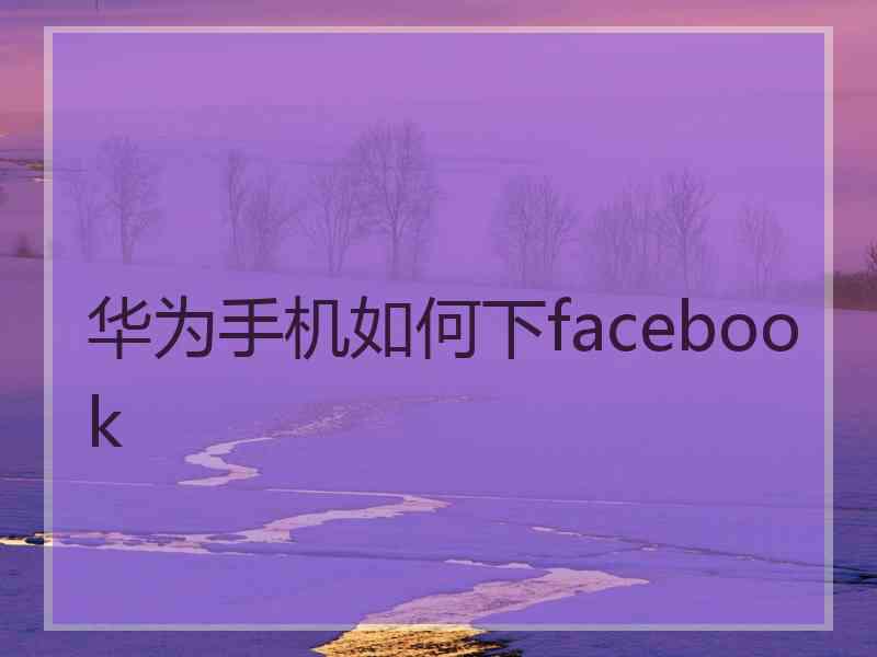 华为手机如何下facebook