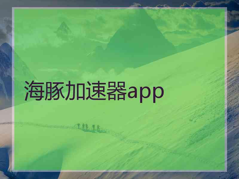 海豚加速器app