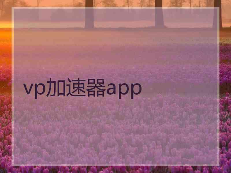 vp加速器app