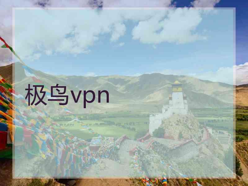 极鸟vpn