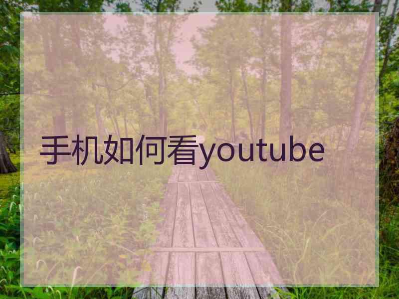 手机如何看youtube