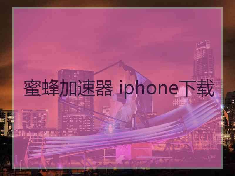 蜜蜂加速器 iphone下载