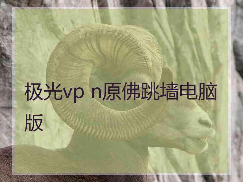 极光vp n原佛跳墙电脑版