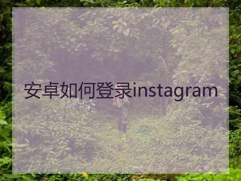 安卓如何登录instagram