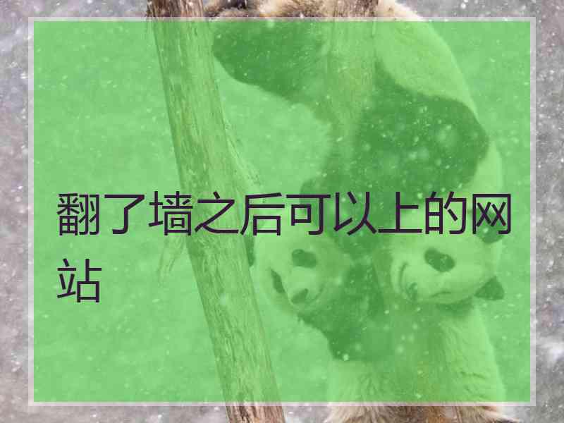 翻了墙之后可以上的网站