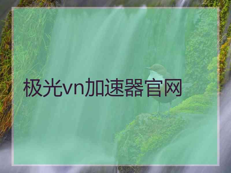 极光vn加速器官网