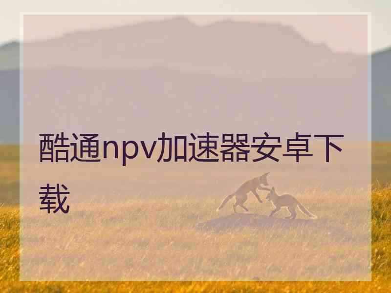 酷通npv加速器安卓下载