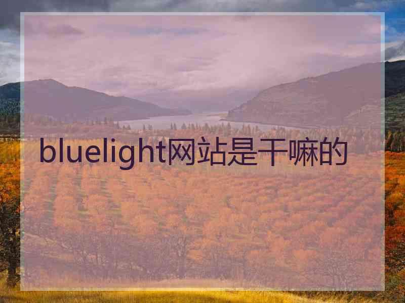 bluelight网站是干嘛的