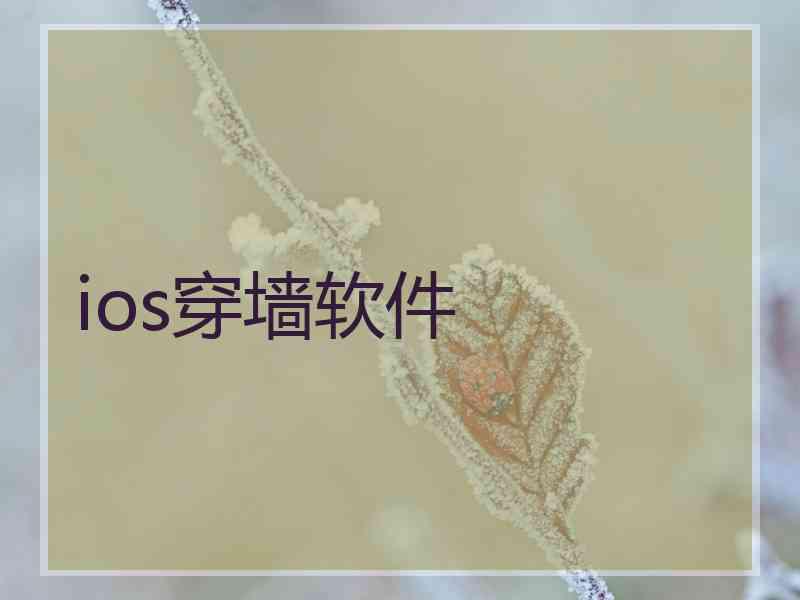 ios穿墙软件