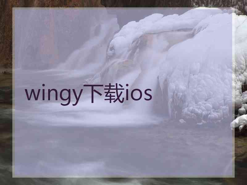 wingy下载ios