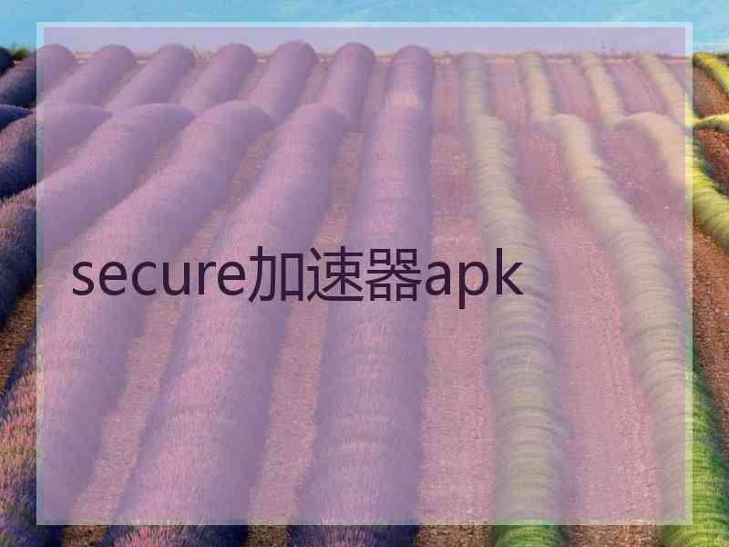 secure加速器apk