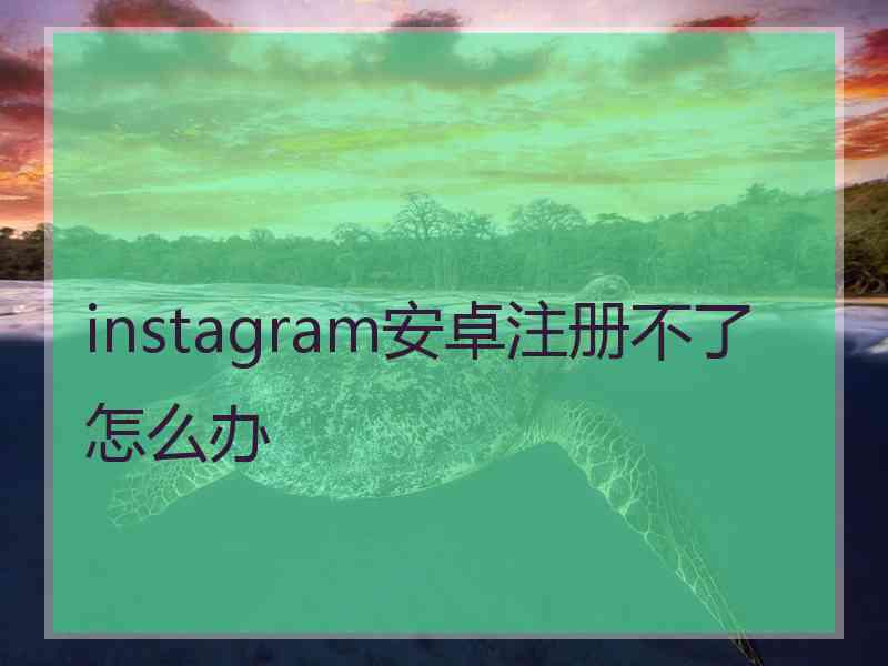 instagram安卓注册不了怎么办