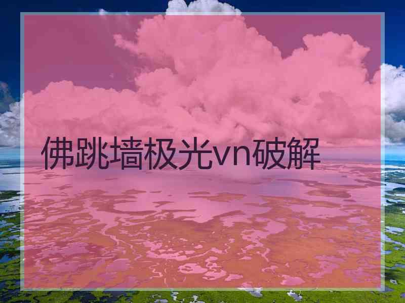 佛跳墙极光vn破解