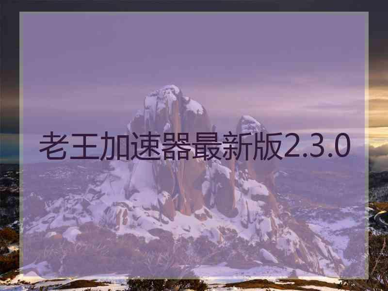 老王加速器最新版2.3.0