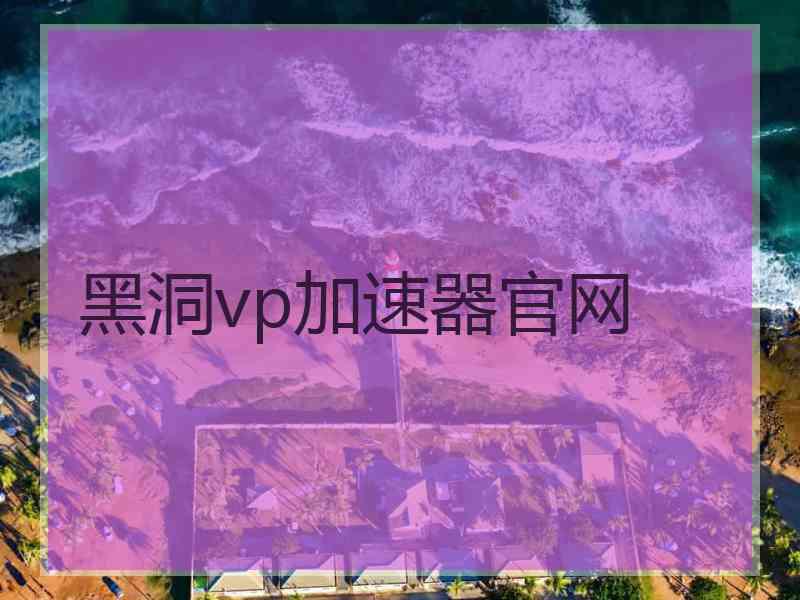 黑洞vp加速器官网