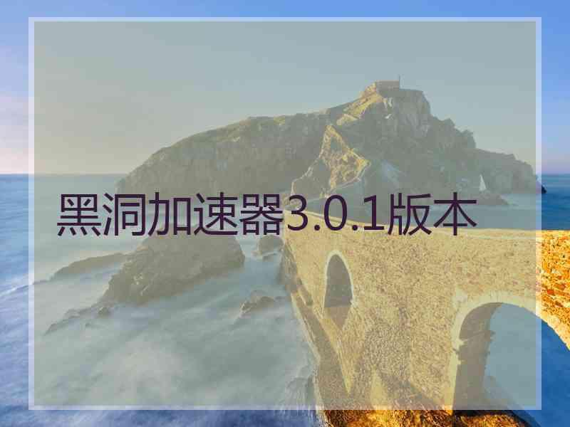 黑洞加速器3.0.1版本