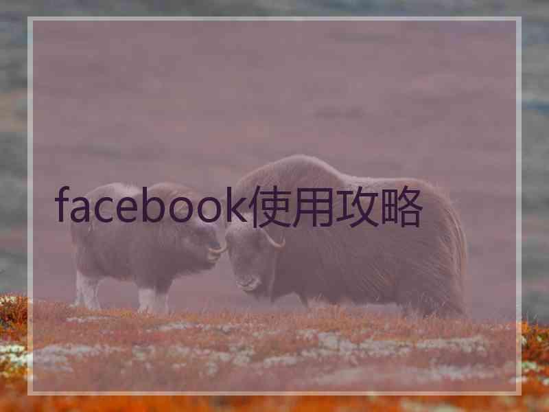 facebook使用攻略