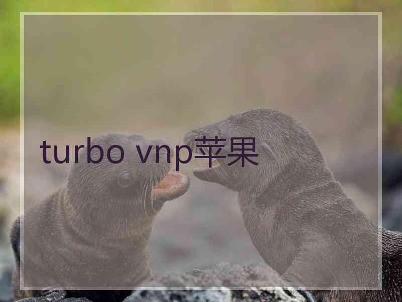 turbo vnp苹果