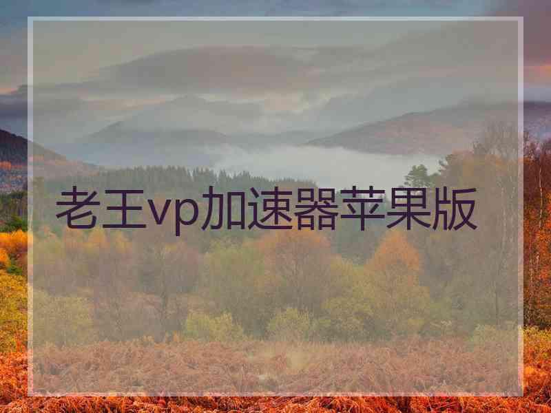 老王vp加速器苹果版