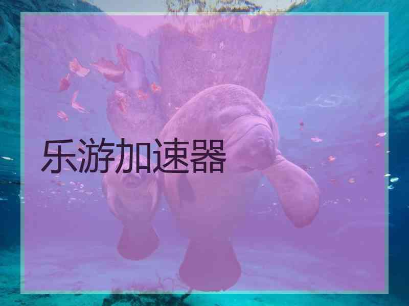 乐游加速器