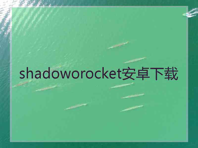 shadoworocket安卓下载