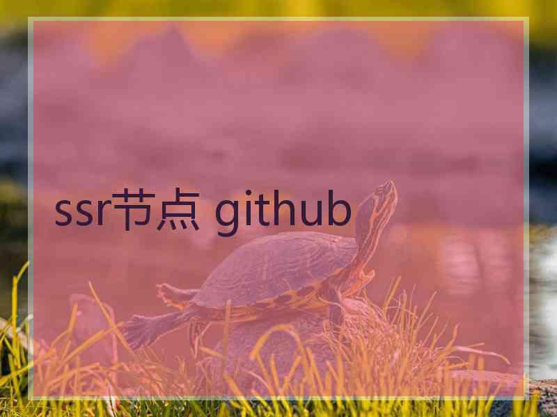 ssr节点 github