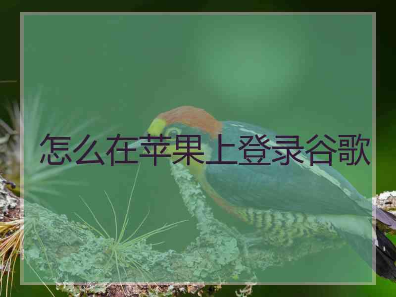 怎么在苹果上登录谷歌