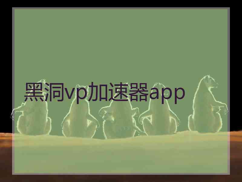 黑洞vp加速器app