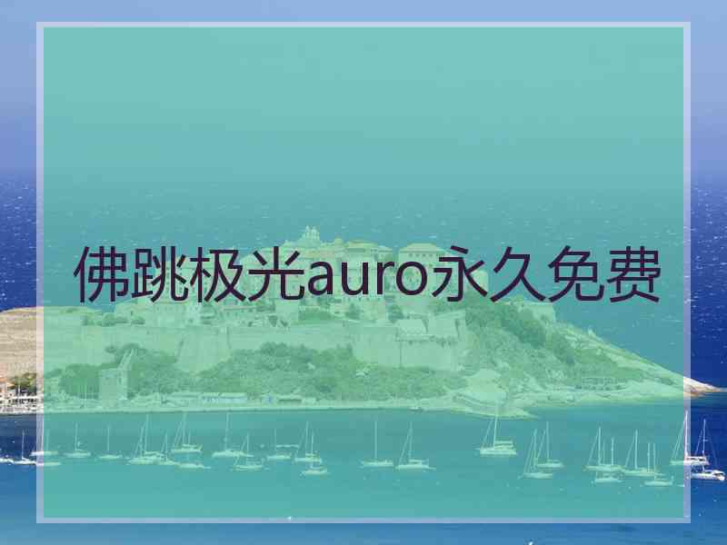 佛跳极光auro永久免费