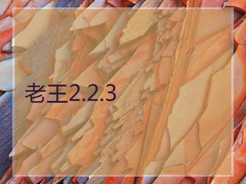 老王2.2.3