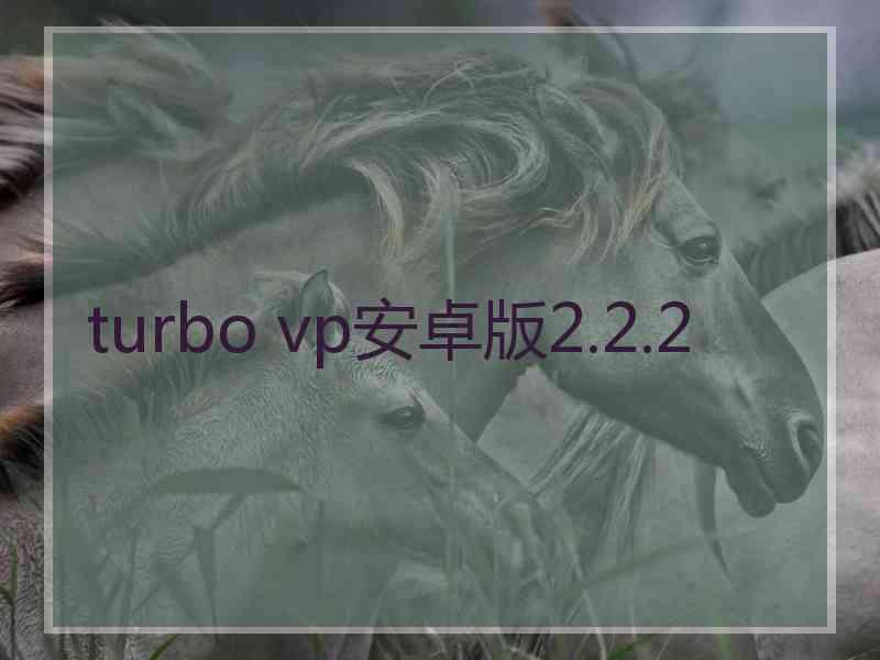 turbo vp安卓版2.2.2