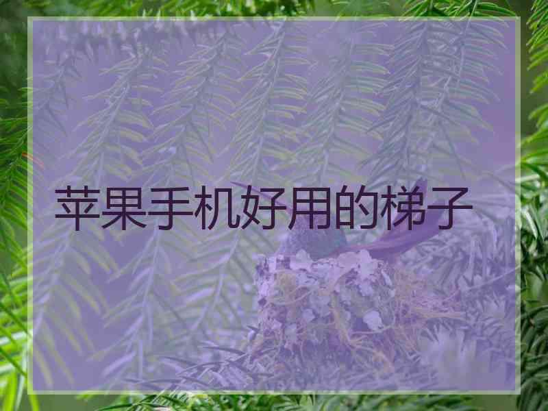 苹果手机好用的梯子