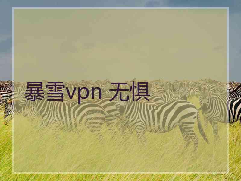 暴雪vpn 无惧