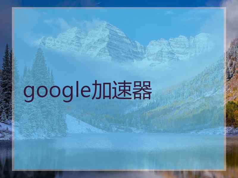 google加速器