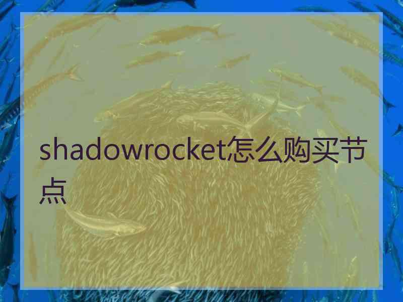 shadowrocket怎么购买节点