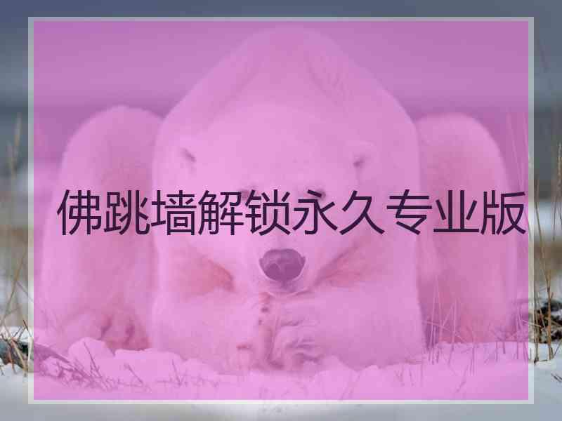 佛跳墙解锁永久专业版