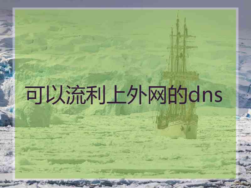 可以流利上外网的dns