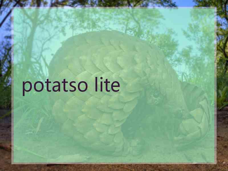 potatso lite