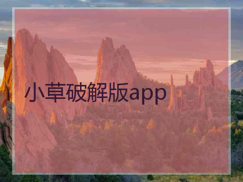 小草破解版app