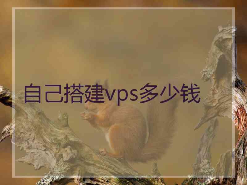 自己搭建vps多少钱