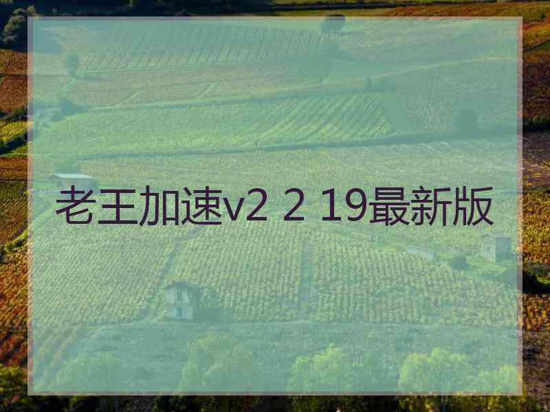 老王加速v2 2 19最新版