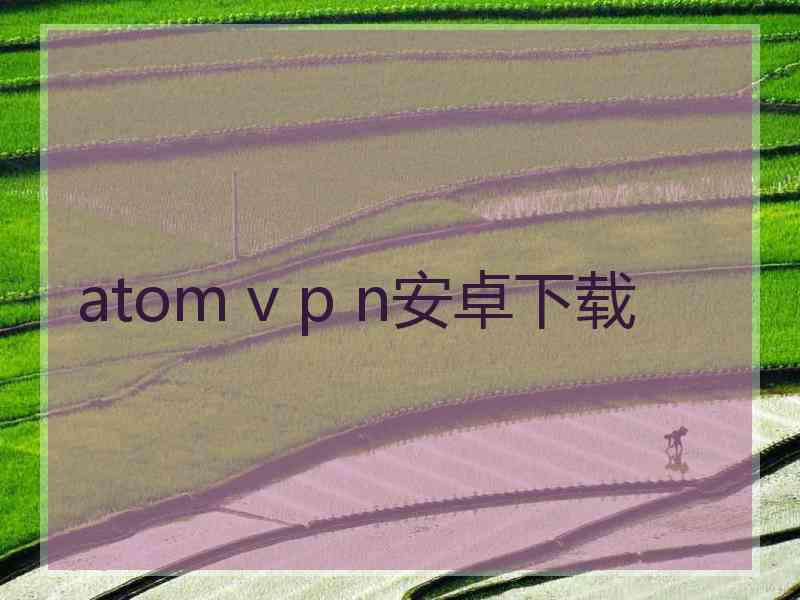 atom v p n安卓下载