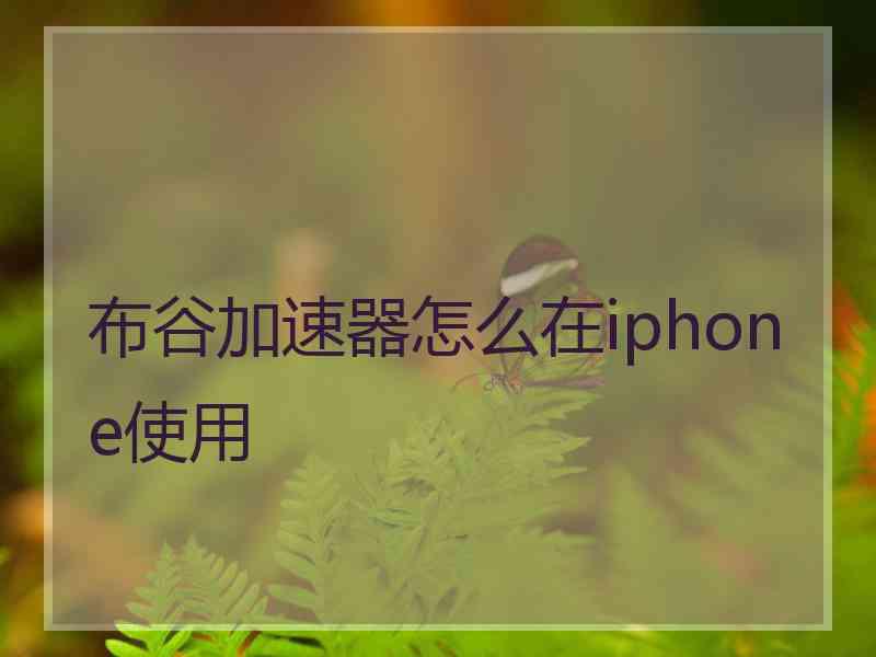 布谷加速器怎么在iphone使用