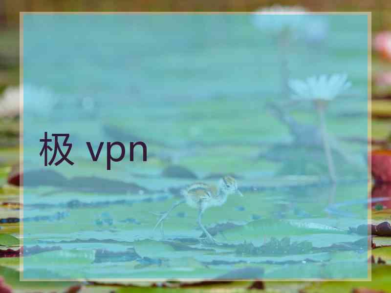 极 vpn