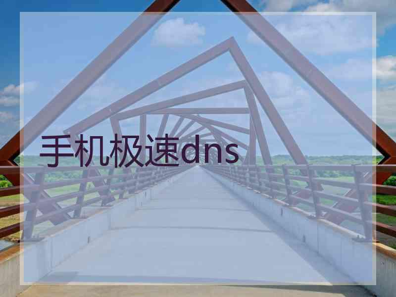 手机极速dns