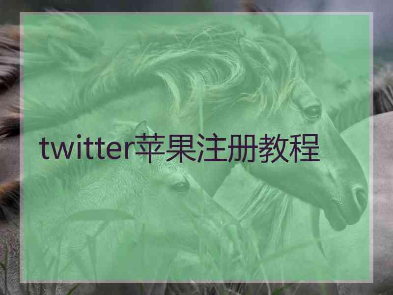 twitter苹果注册教程