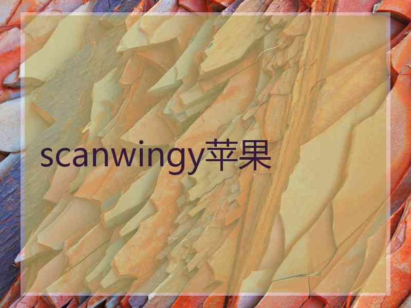 scanwingy苹果