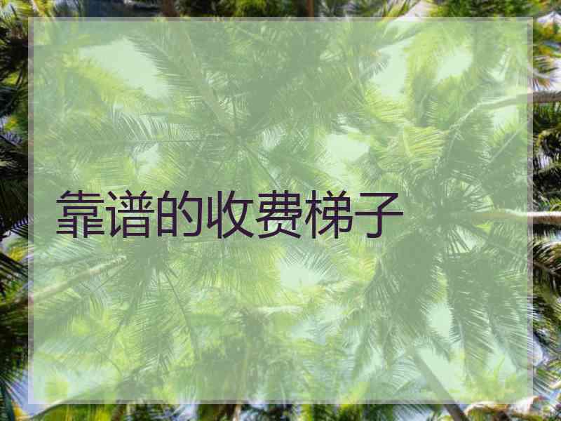 靠谱的收费梯子