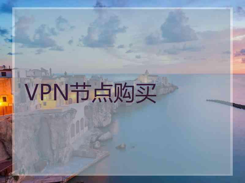 VPN节点购买