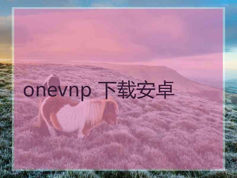 onevnp 下载安卓